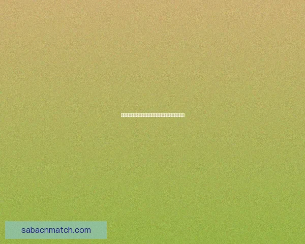 世界杯在线竞猜平台全面升级助力球迷精准预测赛事结果